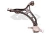 SPIDAN 58266 Track Control Arm